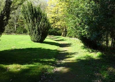 DSC02500